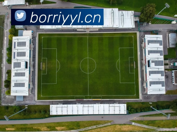 乐动在线登录入口 - 乐动(中国)APP 体育赛事宣传图